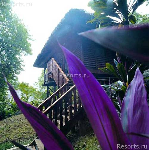 Cerf Island Marine Park Resort Deluxe 10